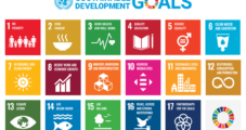 Are the SDGs turning into an own goal?