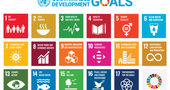 Are the SDGs turning into an own goal?