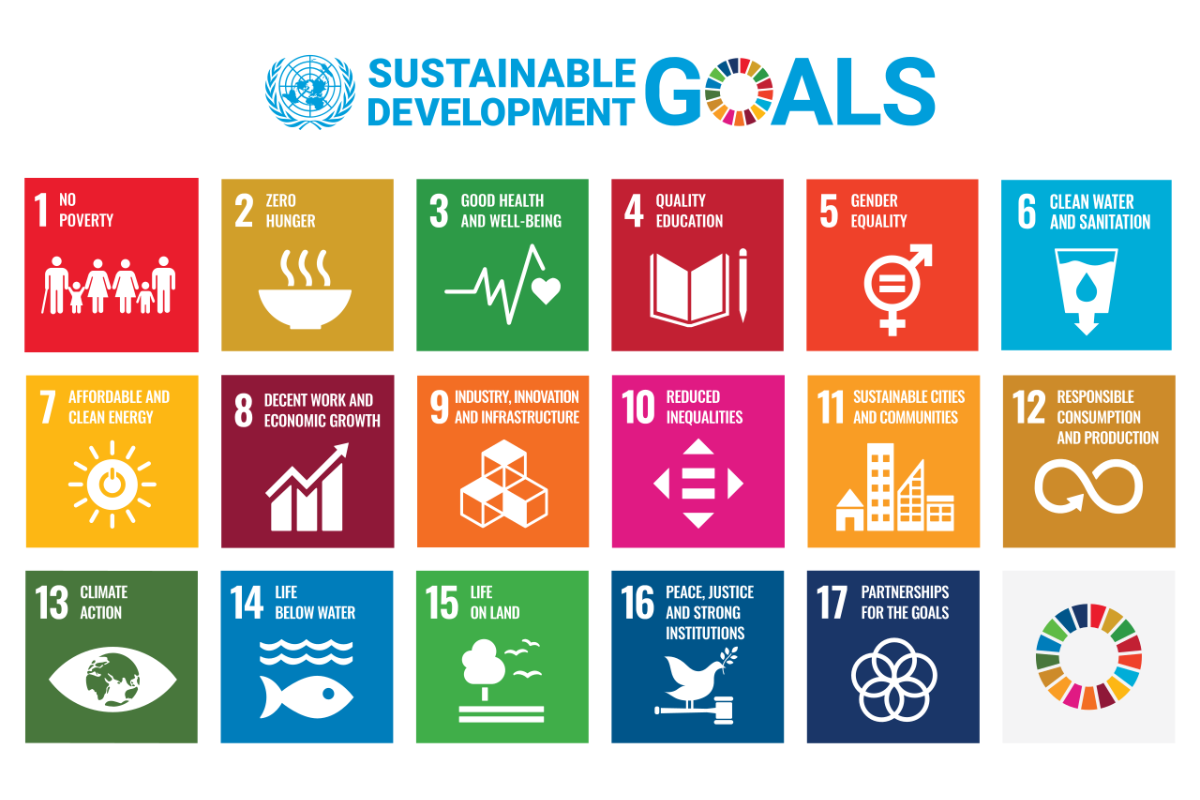 Are the SDGs turning into an own goal?